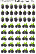 (#774) Blackberries