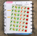 (B-4) Seed Packets