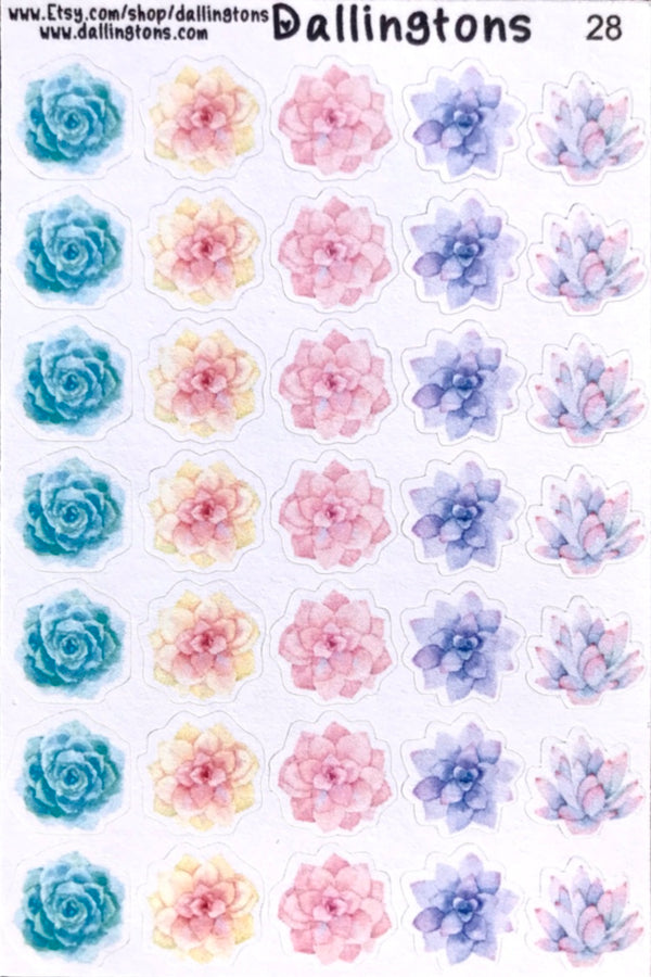 (#28) Watercolor Succulents